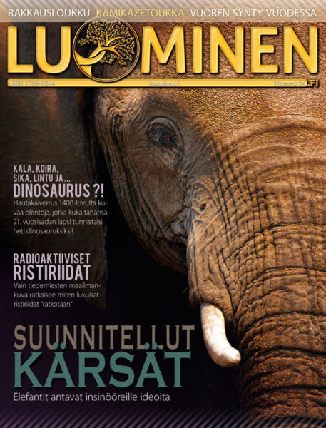 Luominen-lehti (numero 14)