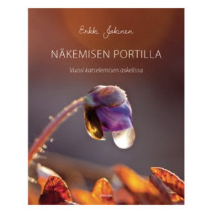 Näkemisen portilla - Vuosi katselemisen askelissa