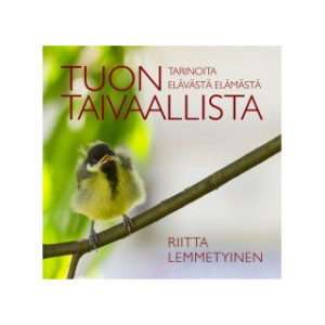 Tuon taivaallista