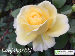 lahjakortti lahjakortti