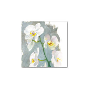 Orkidea (Iso neliötaittokortti kuorella)