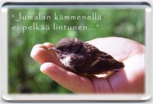 Magneetti: Jumalan kämmenellä