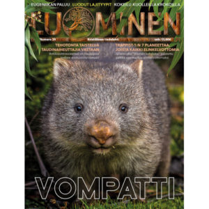 Luominen-lehti (numero 29)