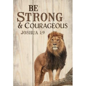 Minikyltti, Be strong and Courageous Minikyltti, Be strong and Courageous