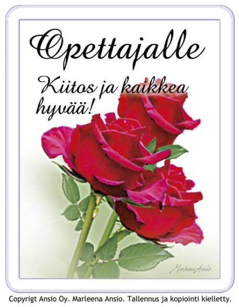 Supermagneetti, Opettajalle (ruusu)