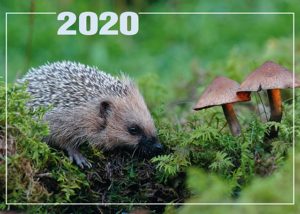 Päivän seinäkalenteri 2020 kirkkovuoden tekstein Päivän seinäkalenteri 2020 kirkkovuoden tekstein