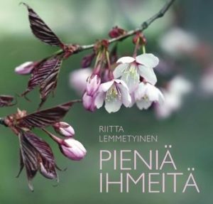 Pieniä ihmeitä