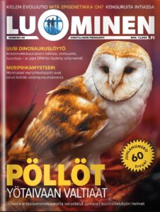 Luominen-lehti numero 40