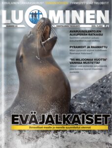 Luominen-lehti numero 42