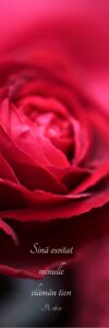Kirjanmerkki, punainen ruusu