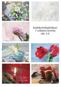 Joulukorttilajitelma 1 (Sari Savela Photography)