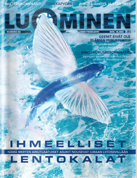 Luominen-lehti numero 53