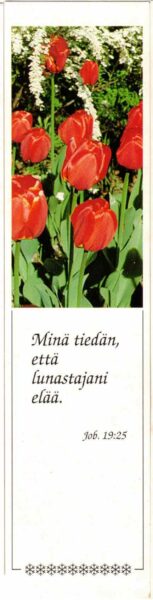 Kirjanmerkki: Minä tiedän, että lunastajani elää, Job 19:25