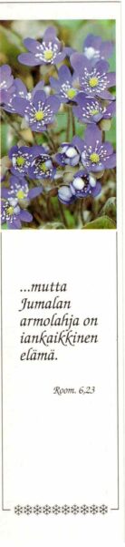 Kirjanmerkki: ...mutta Jumalan armolahja on iankaikkinen elämä, Room 6:23