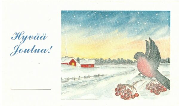 Pakettikortti: Hyvää joulua (lintu + marjat)