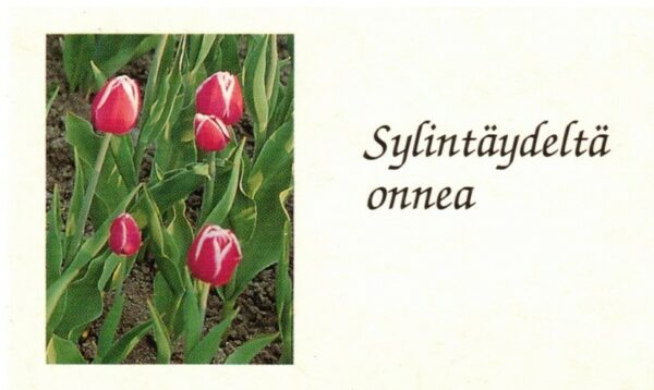 Pakettikortti: sylintäydeltä onnea