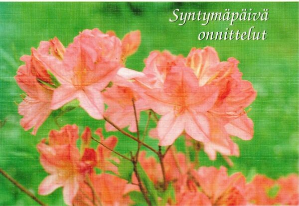 Syntymäpäiväonnittelu (kaksiosainen kortti)