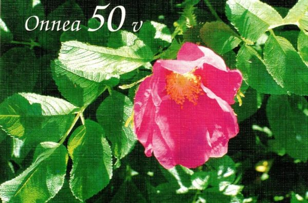 Onnea 50v (kaksiosainen kortti)