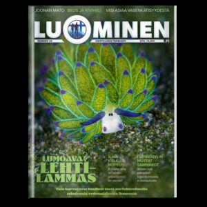 Luominen-lehti numero 58