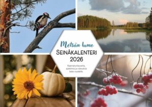 Metsän lumo seinäkalenteri 2026