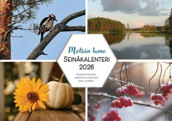 Metsän lumo seinäkalenteri 2026