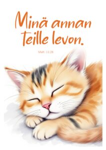 Kaksiosainen kortti - Minä annan teille levon (sis.kuoren)