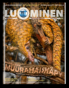 Luominen-lehti numero 59 Luominen-lehti numero 59